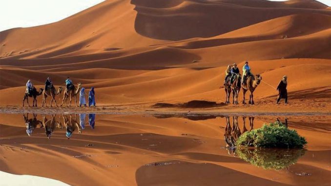 VOYAGE EN CATAMARAN DANS LA GRANDE BAIE DE LAAYOUNE